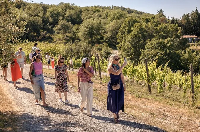 Half-Day Chianti Tasting at Two Wineries