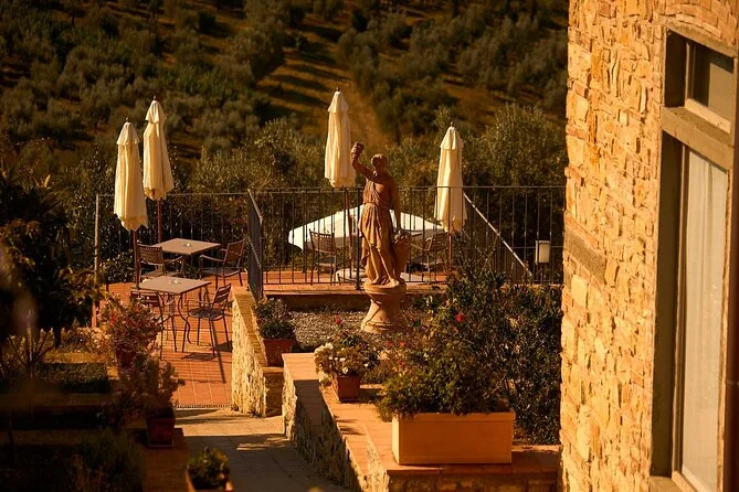 Chianti Wine & Olive Oil Trail with Lunch
