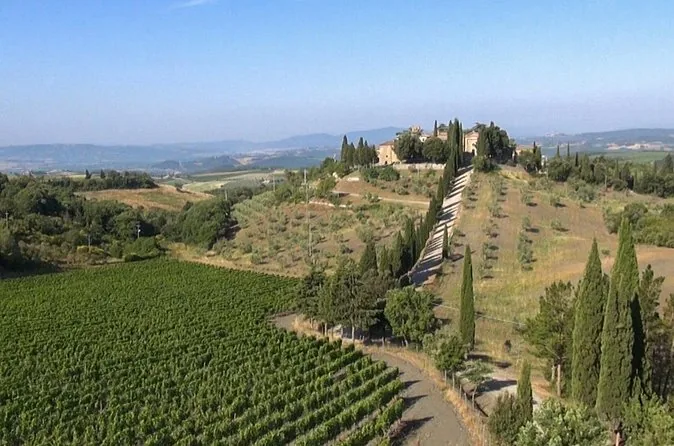 A hilltop estate surrounded by vineyards and olive groves in the Chianti hills